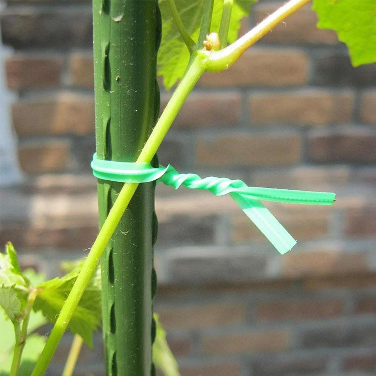 Reusable Green Twist Tie Roll – Flexible Multipurpose Wire with Cutter - Image 4