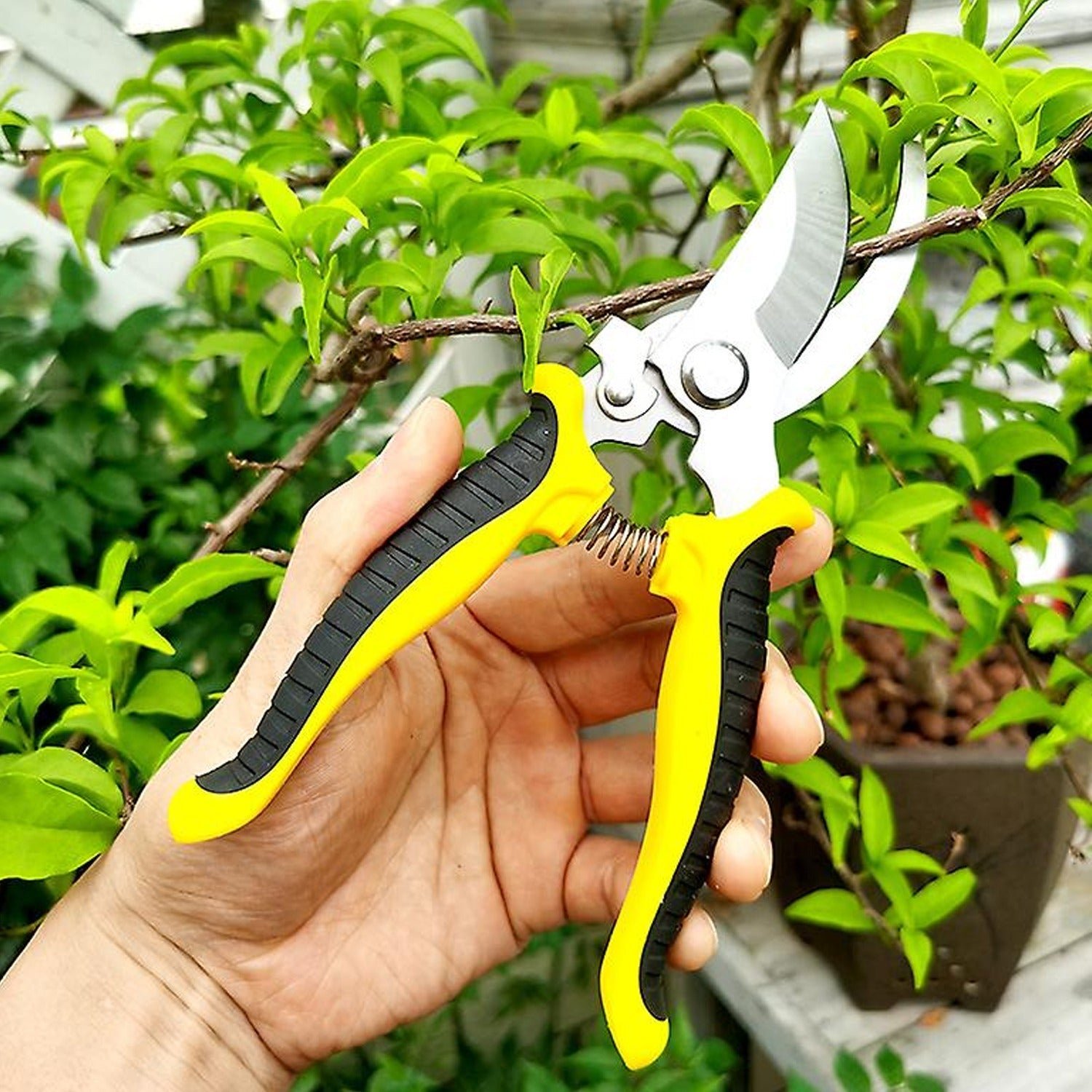 Heavy Duty Garden Pruning Shears – Sharp Stainless Steel Blades for Precise Cutting - Image 3