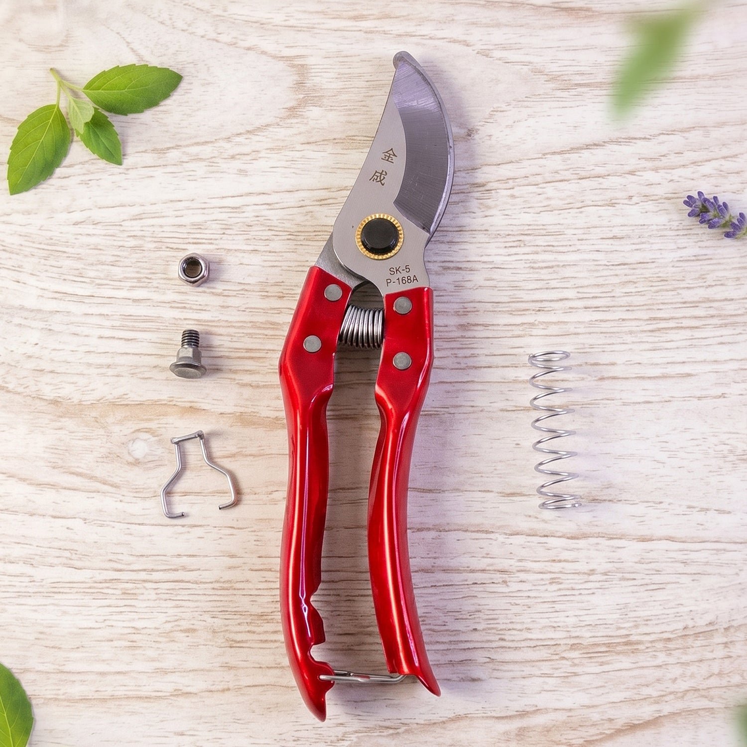 Garden Pruning Shears Precise Bypass Secateurs for Plants - Image 3