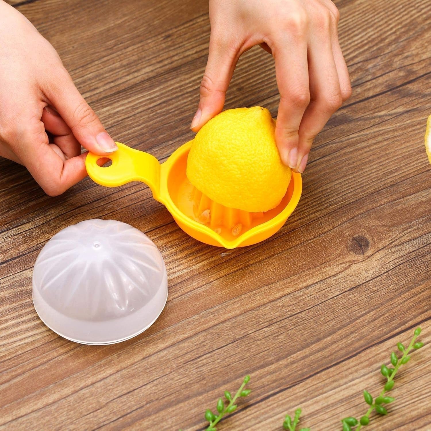 Manual Citrus Juicer – Effortless Lemon & Orange Squeezing for Home - Image 3