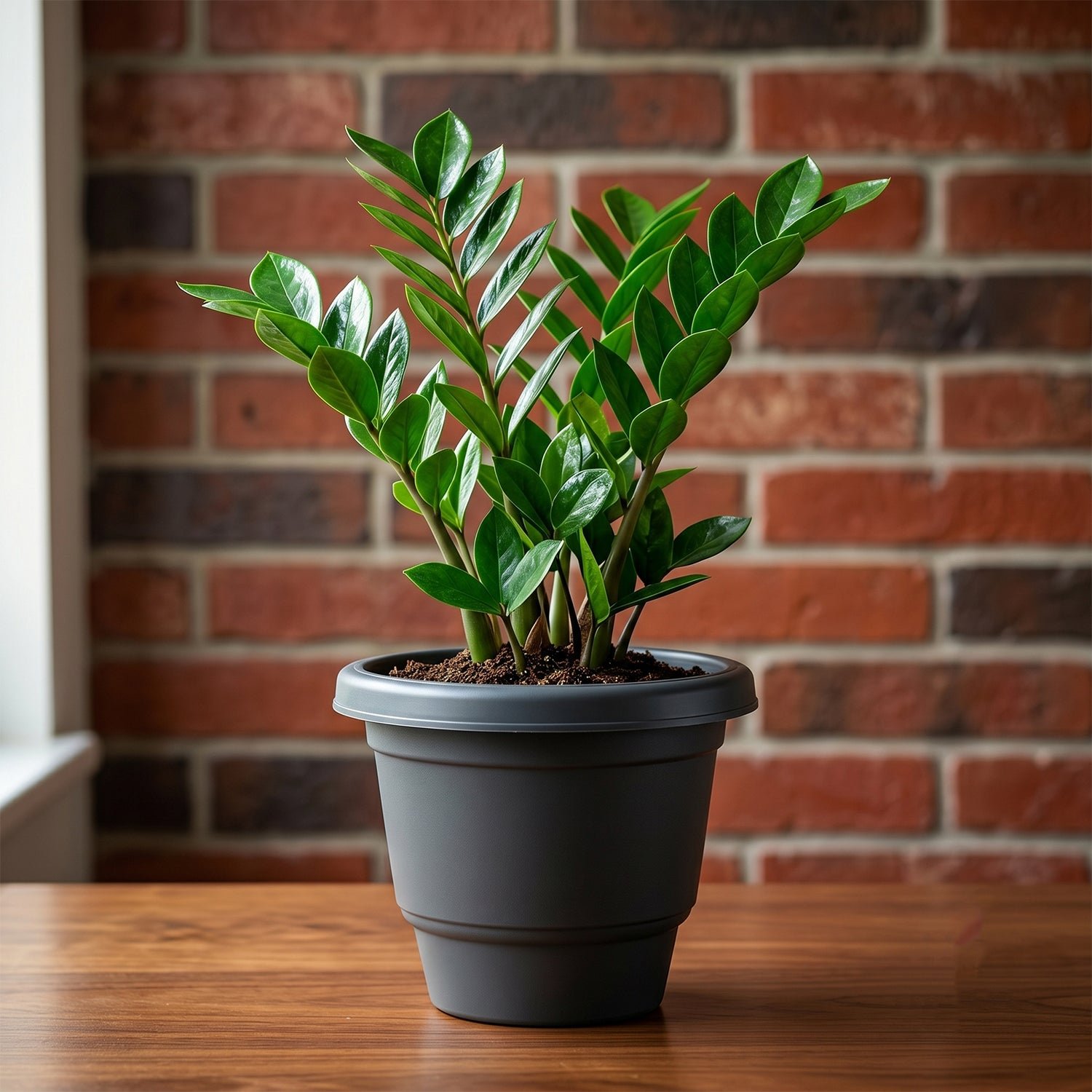 Plastic Flower Pot Planter Set – Ideal for Indoor & Outdoor Gardens - Image 3