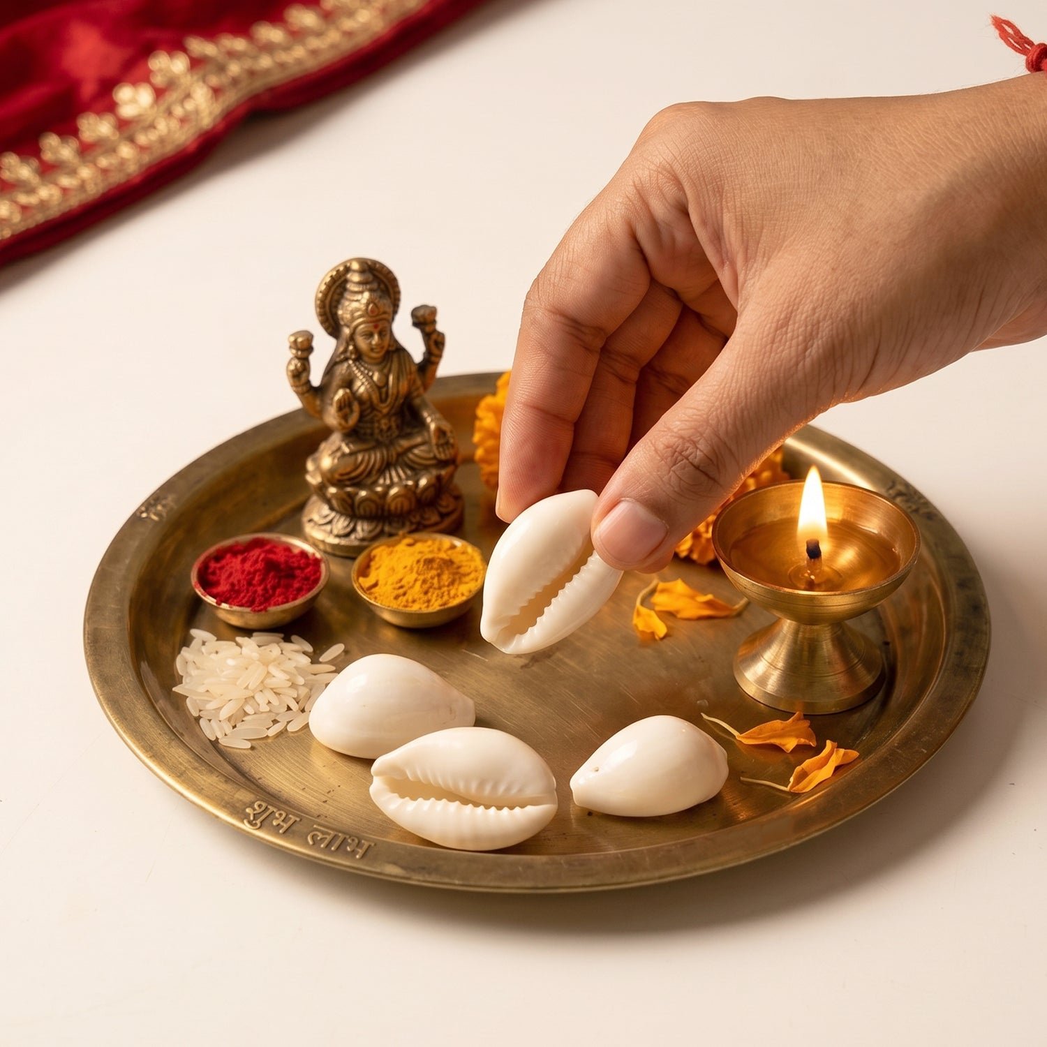 Natural Kaudi Cowrie Shells – Ideal for Pooja & Decor - Image 5