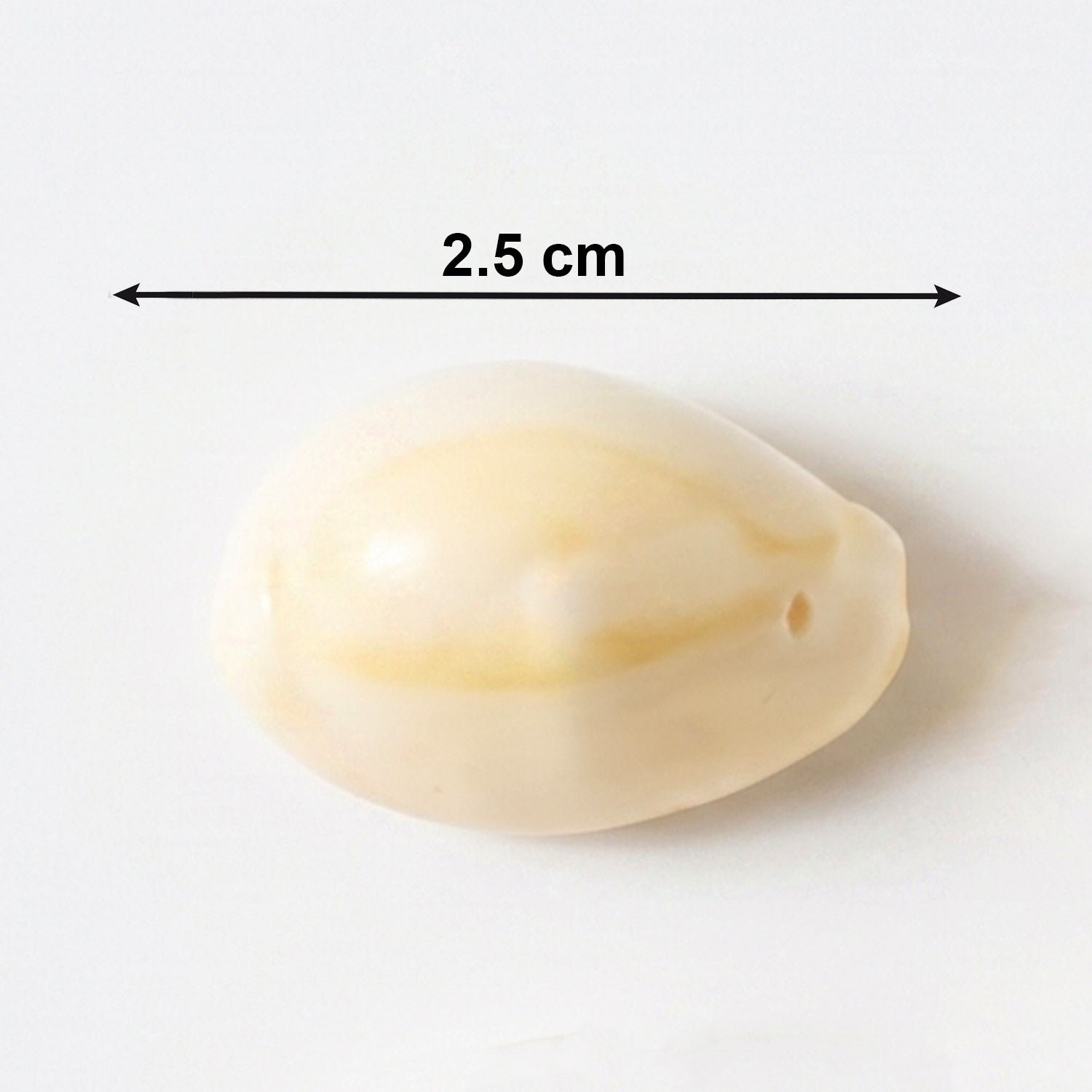 Natural Kaudi Cowrie Shells – Ideal for Pooja & Decor - Image 6