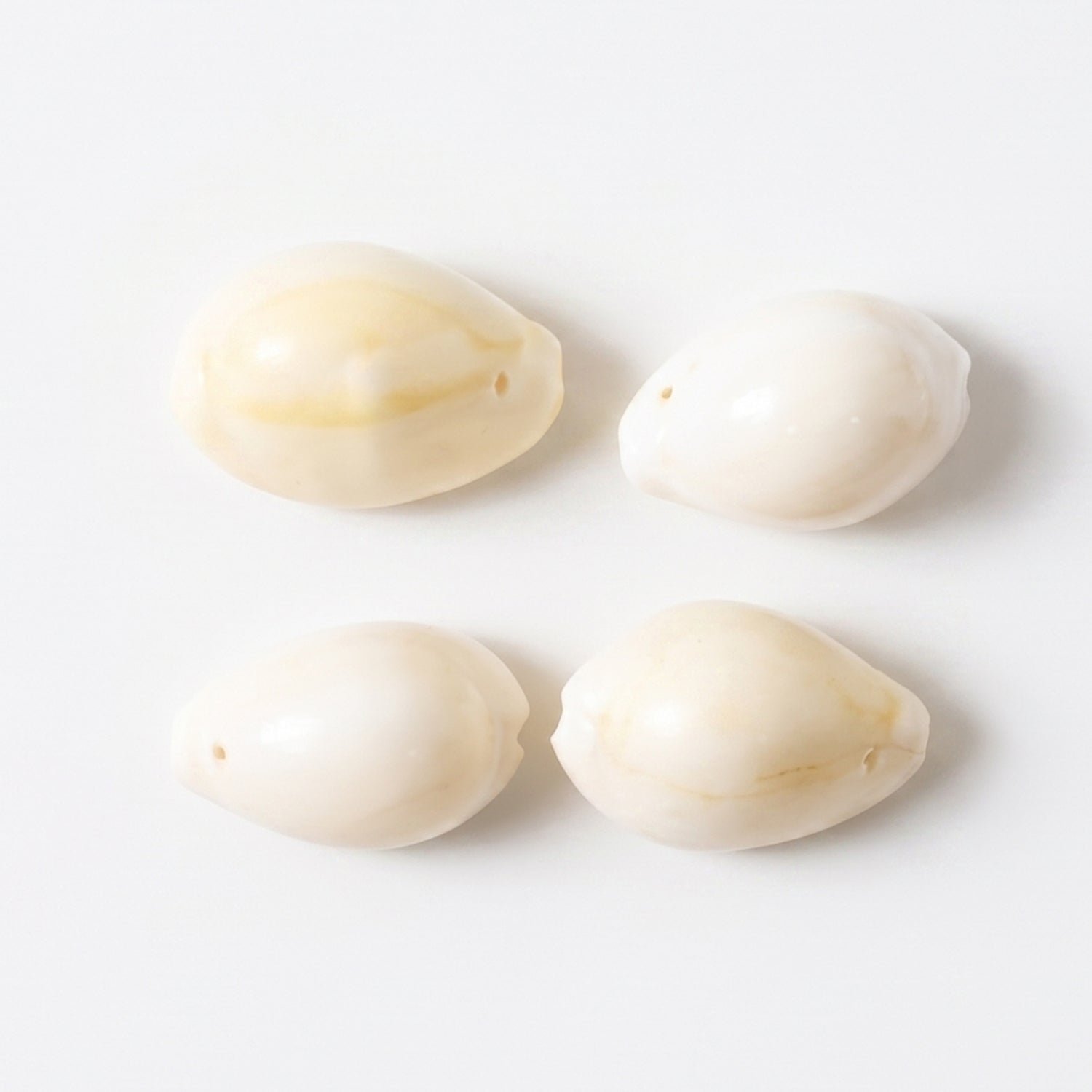 Natural Kaudi Cowrie Shells – Ideal for Pooja & Decor - Image 4