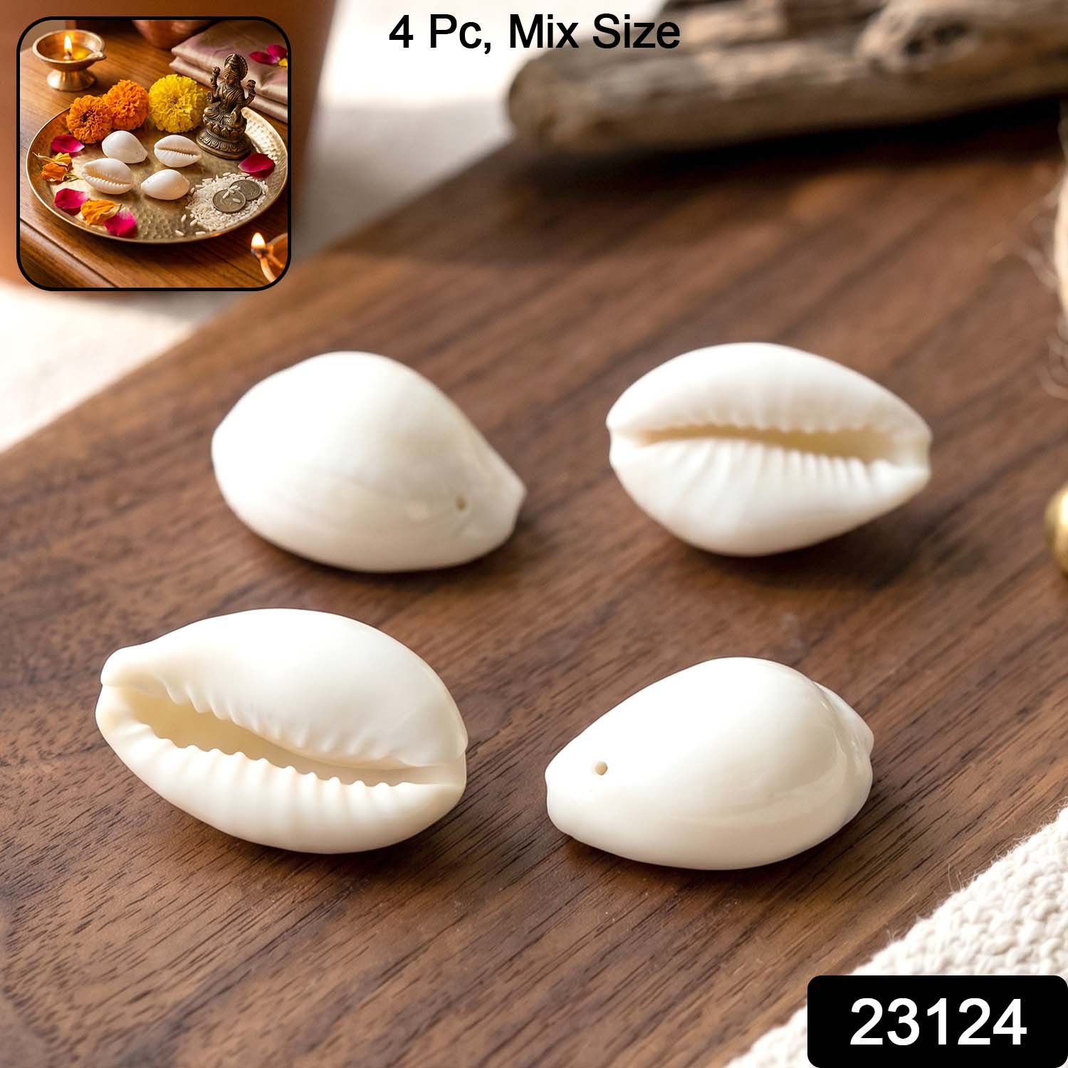 Natural Kaudi Cowrie Shells – Ideal for Pooja & Decor - Image 2