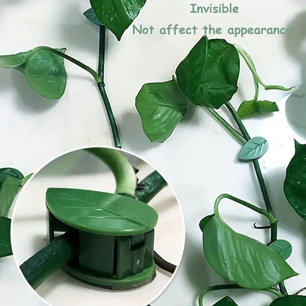 Plant Climbing Clips – Self-Adhesive Leaf Design | Indo Glow