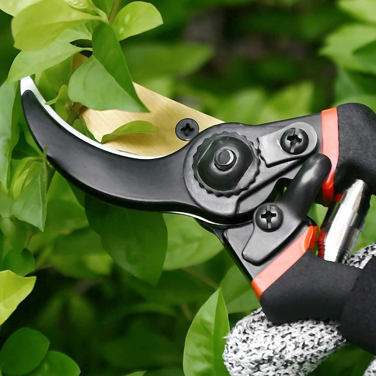 Flower Cutter Stainless Steel 21 Cm Sharp Shear for Flowers Plants (1 Pc) - Image 8